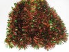 Tinsel Garland Green and Ice Red Christmas Décor